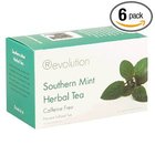 Southern Mint Herbal Tea from Revolution Tea