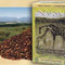 Green Rooibos - Sweet African Red from Numi Organic Tea