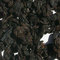 Ali Shan 1991 from Camellia Sinensis