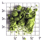 Japanese Matcha Kamakura from Upton Tea Imports