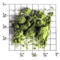 Japanese Matcha Kamakura from Upton Tea Imports
