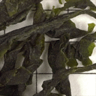 China Special Green Mao Feng from Upton Tea Imports