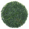 Gyokuro Yame from Rishi Tea