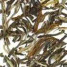 King of Jasmine from Simon Levelt