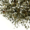 Creamed Earl Grey from Teaopia