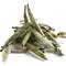 Bai Hao Yin Jan ( White Fur Silver Needle) from Unknown