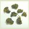 Zhong Shu Hu Oolong Tea from Tea from Taiwan