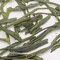 Sencha Yamato from A C Perch's
