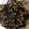 Oriental Beauty Bai Hao Oolong Superior Grade from Life In Teacup