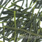 Kabuse Yabukita Midori from Yabukita