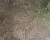Multi-Colored Signature