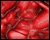 Organic Raw Flesh