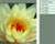 Photoshop CS2 New Filter Gallery