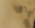 Muddy Texture