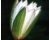 Blog layout design