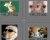 Creating Web Photo Gallery