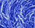 Ice Photoshop Tutorial in Photoshop