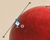 Pen Tool Selecting