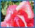 Canvas Texture Effect in Photoshop
