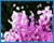 Glass Texture Effect in Photoshop
