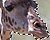 Transparent GIF Guide