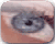 Change Eye Color.