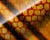 Abstract Snake Skin