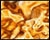 Perplexing Plasmids