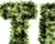 Moss Text Effect