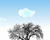 Clouds circulation