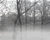 Misty river