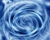 Whirlwind