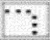 Dotted Lines