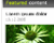 Advanced rounded content box