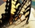 Like in my dream Photo Effect