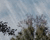 Realistic Rain Effect