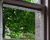 Frosted Window