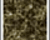 Creating a Carpet Texture