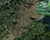 Liquify a Tree into a Human
