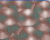 7bec5f85bb19