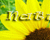 Picture Text Effect