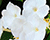 Bfc00a930d66