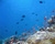 Underwater Photo Retouching