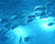 3f853a763835