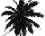 Create Photoshop Custom Brush