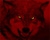Angry Wolf