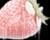 Frozen Strawberry