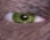 Turn Yourself into a Werewolf