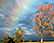 Add A Rainbow To A Photo