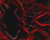 Dark Background
